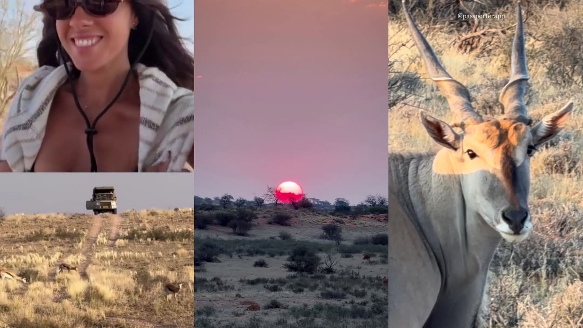 El safari de Melyssa Pinto y Mario Casas