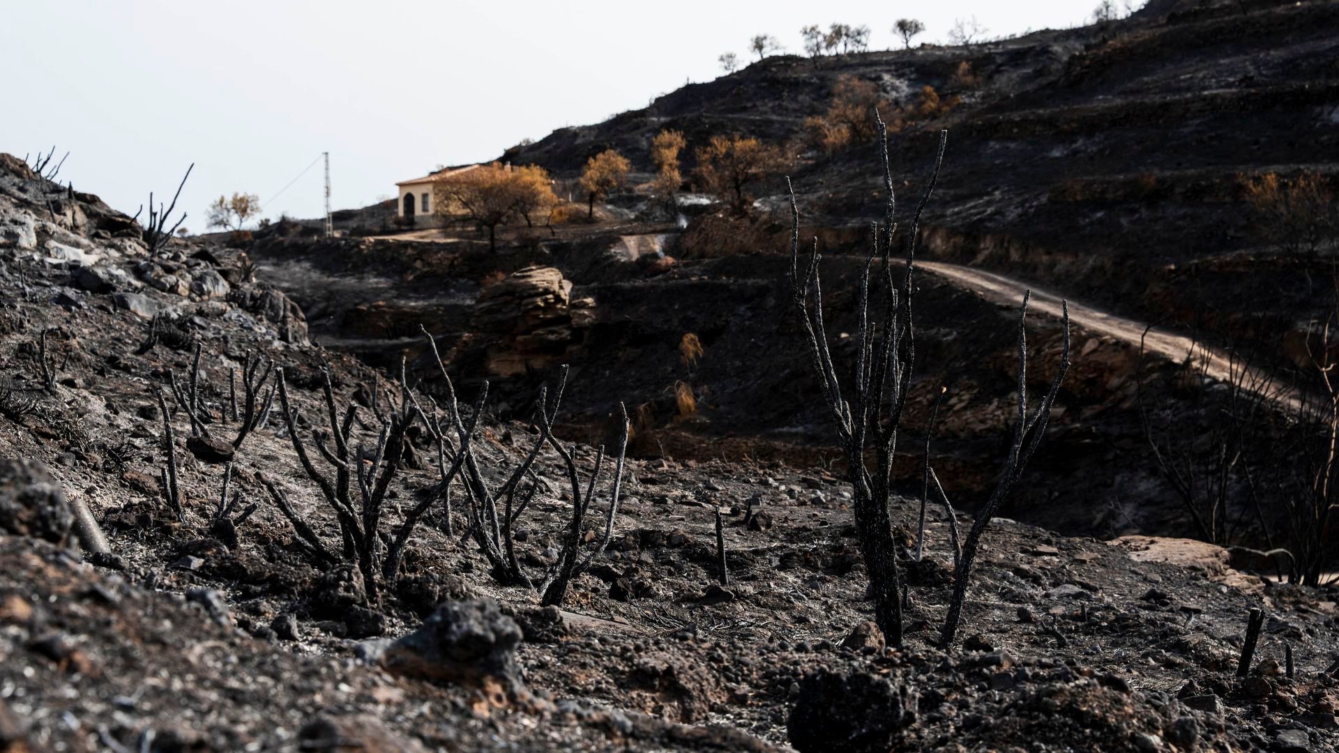 La hija del matrimonio británico fallecido en el incendio de los Gallardos: "Murieron atrapados por el fuego mientras huían"