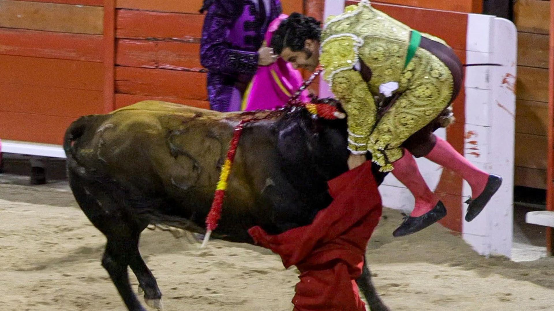 Morante de la Puebla, herido de una mano tras ser volteado por el animal en Palma de Mallorca
