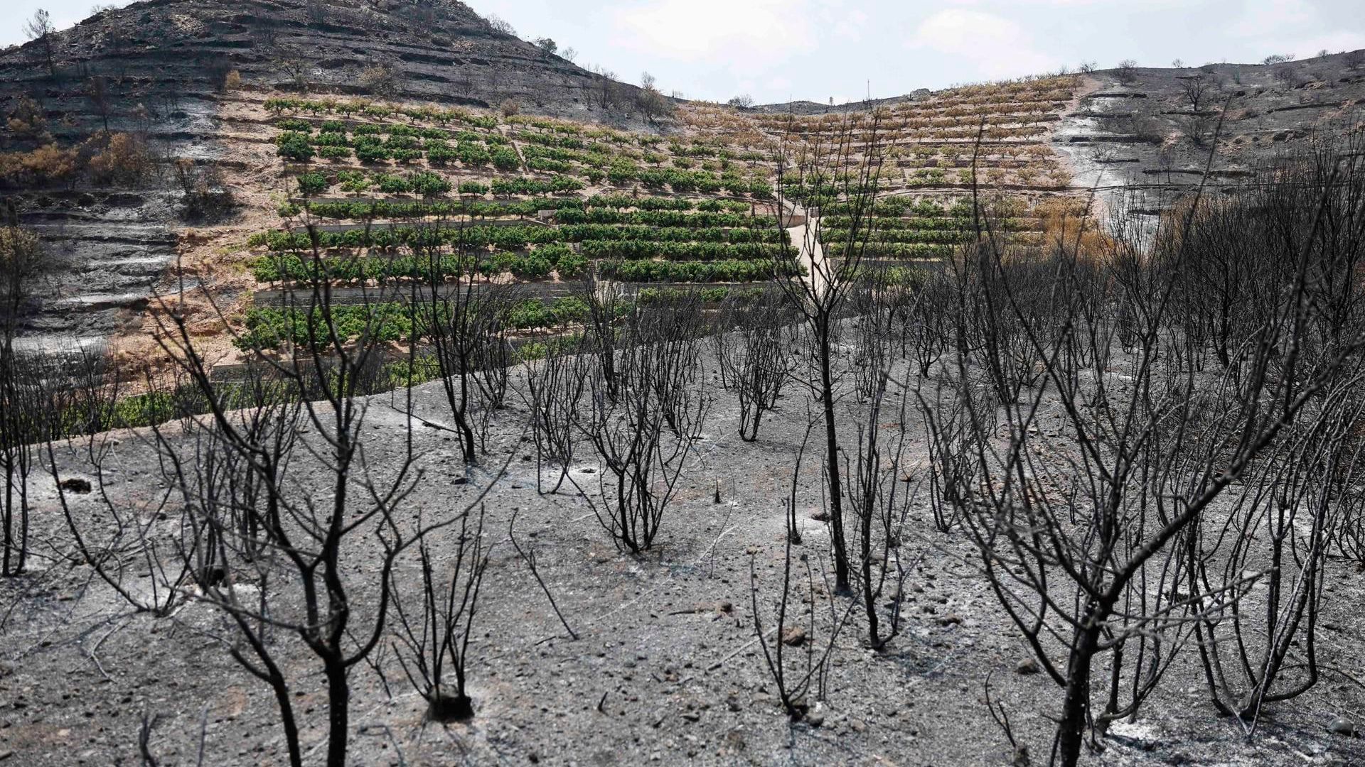 El incendio de la Vall d'Uixó sigue activo, sin estabilizar, aunque permite el regreso a miles de evacuados