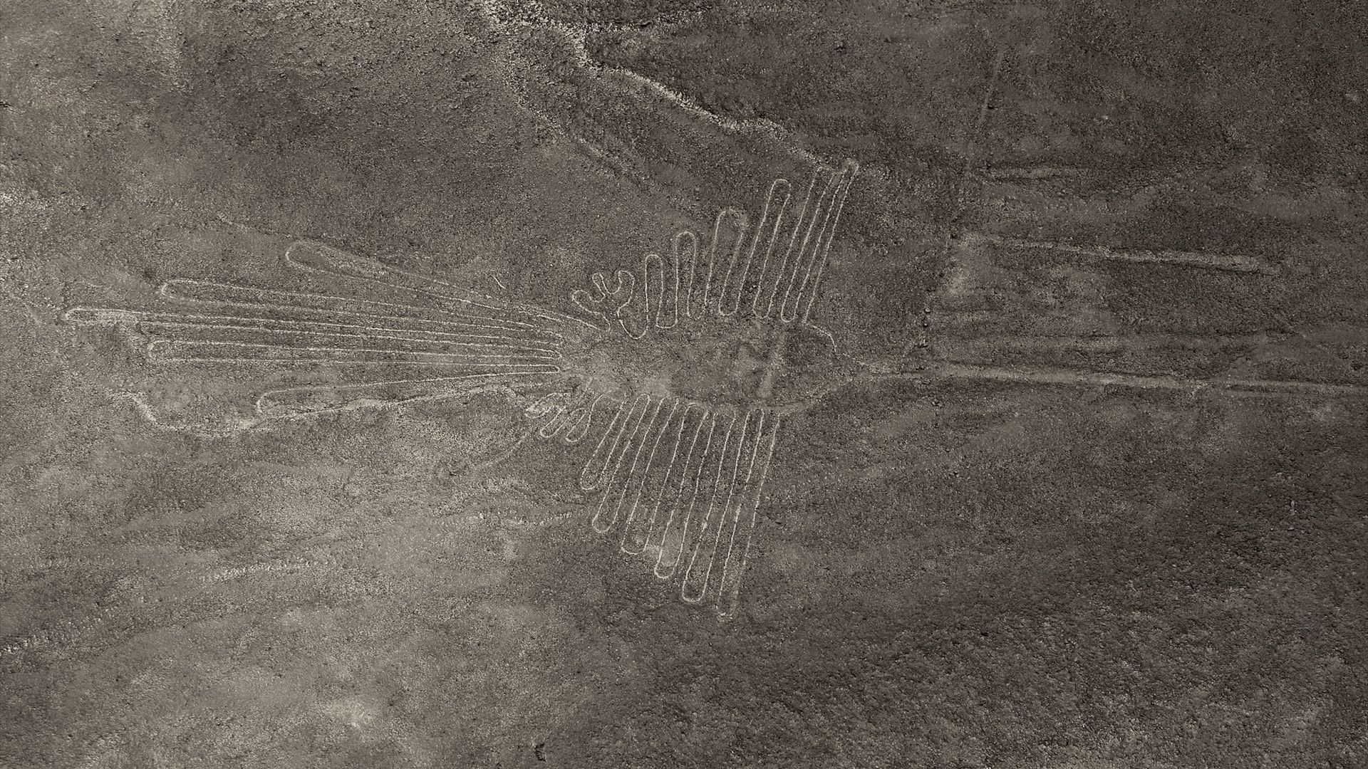 Al menos 13 muertos al estrellarse una avioneta con turistas cerca de las Líneas de Nazca, Perú
