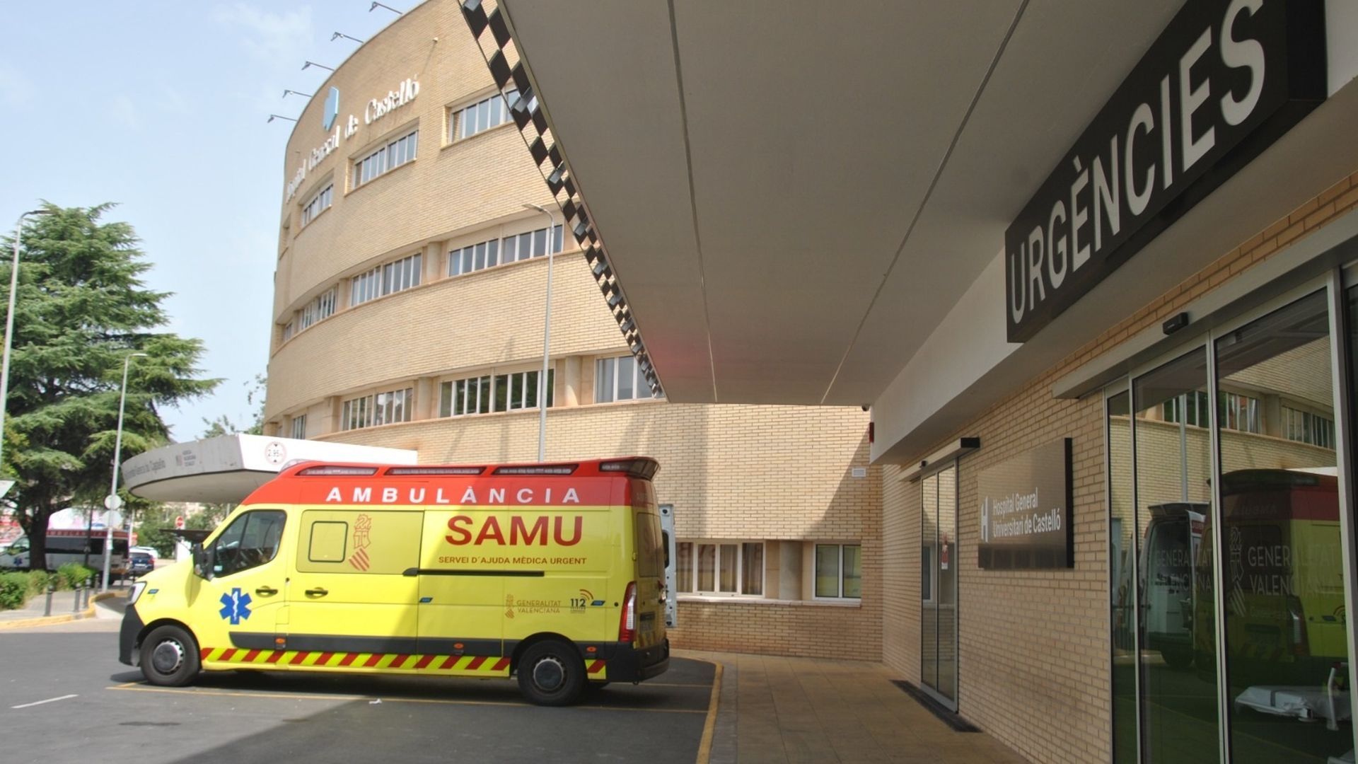 Muere el joven de 21 años herido por una vaca en las fiestas de Tírig, Castellón Muere el joven de 21 años herido por una vaca en las fiestas de Tírig, Castellón