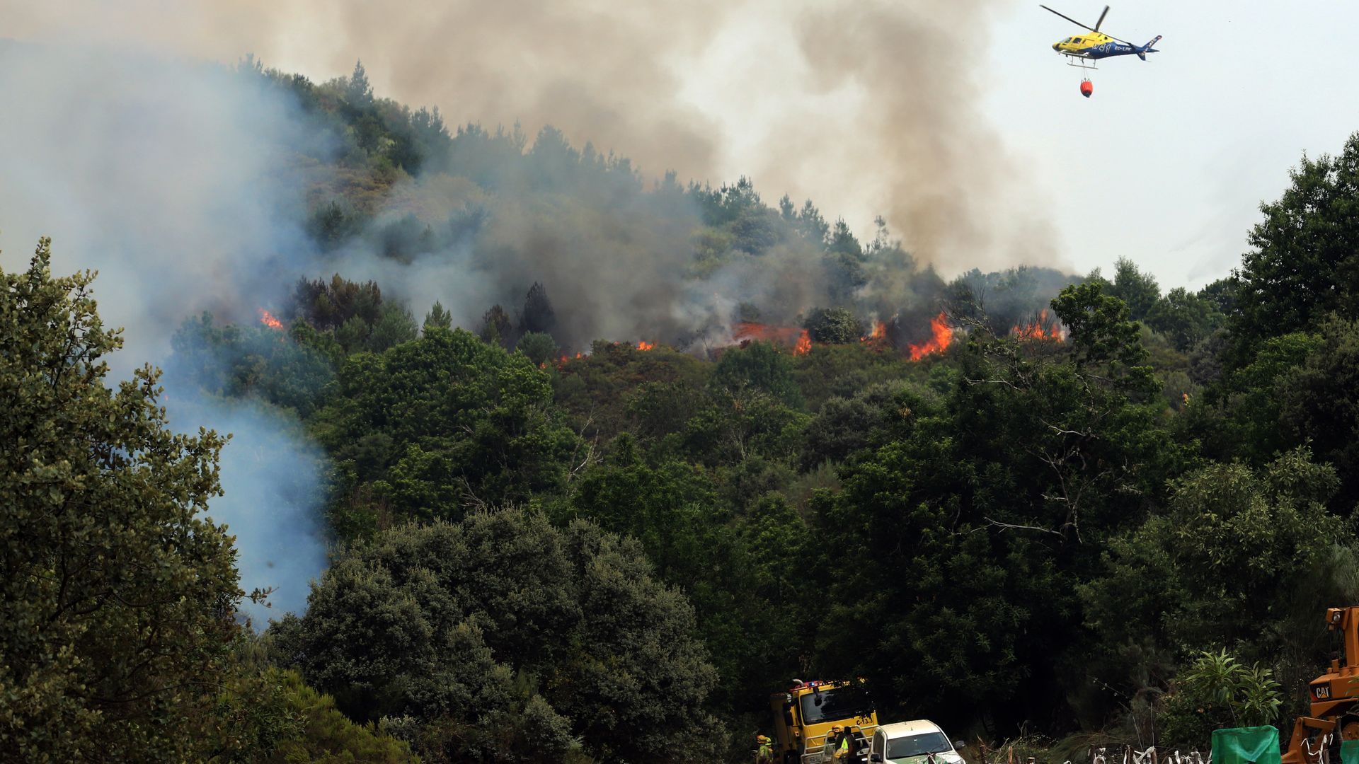 Última hora de los incendios: estabilizado el incendio forestal de Herrera del Duque (Badajoz) Última hora de los incendios: estabilizado el incendio forestal de Herrera del Duque (Badajoz)
