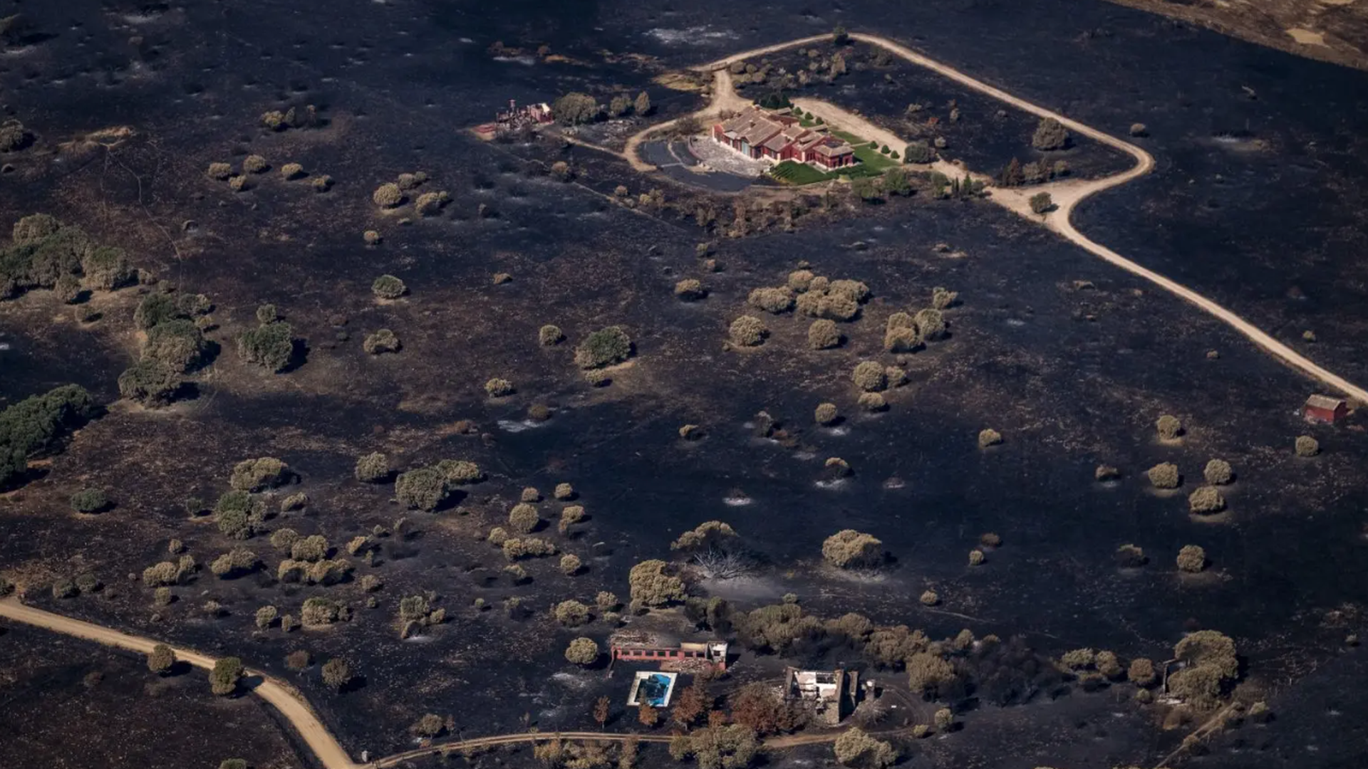 Zona de Brieva (Segovia) totalmente ennegrecida tras uno de los incendios Zona de Brieva (Segovia) totalmente ennegrecida tras uno de los incendios