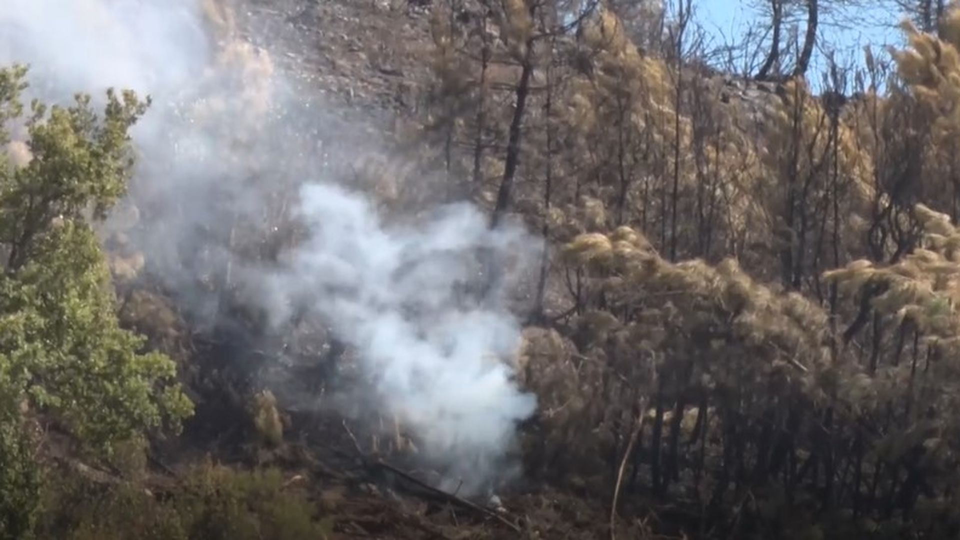 Última hora de los incendios: estabilizado el incendio forestal de Casas de Millán, Cáceres, tras quemar 1.352 hectáreas Última hora de los incendios: estabilizado el incendio forestal de Casas de Millán, Cáceres, tras quemar 1.352 hectáreas
