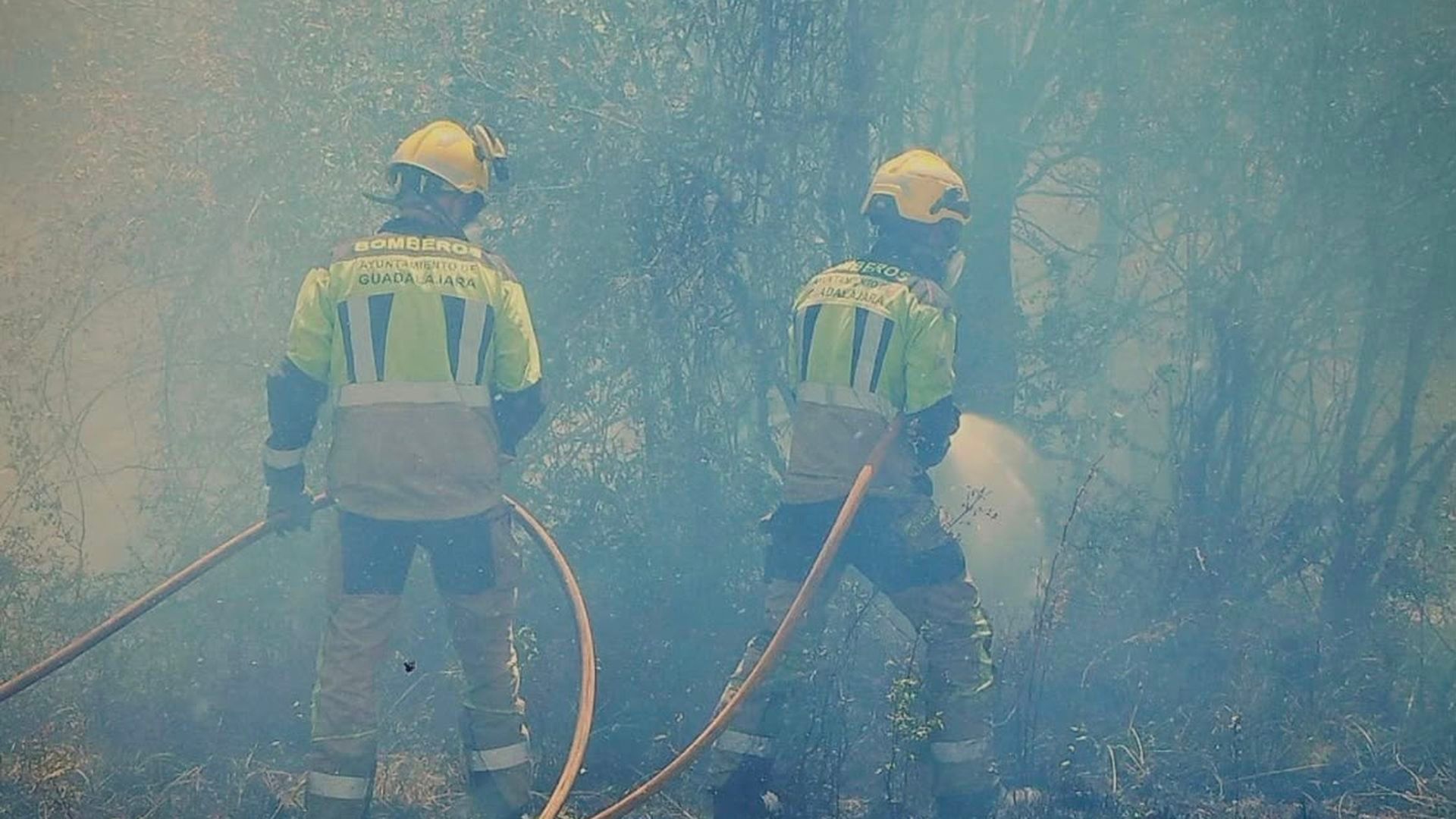 Dan por controlado el incendio de La Mierla, Guadalajara, tras arrasar 32.000 hectáreas Dan por controlado el incendio de La Mierla, Guadalajara, tras arrasar 32.000 hectáreas