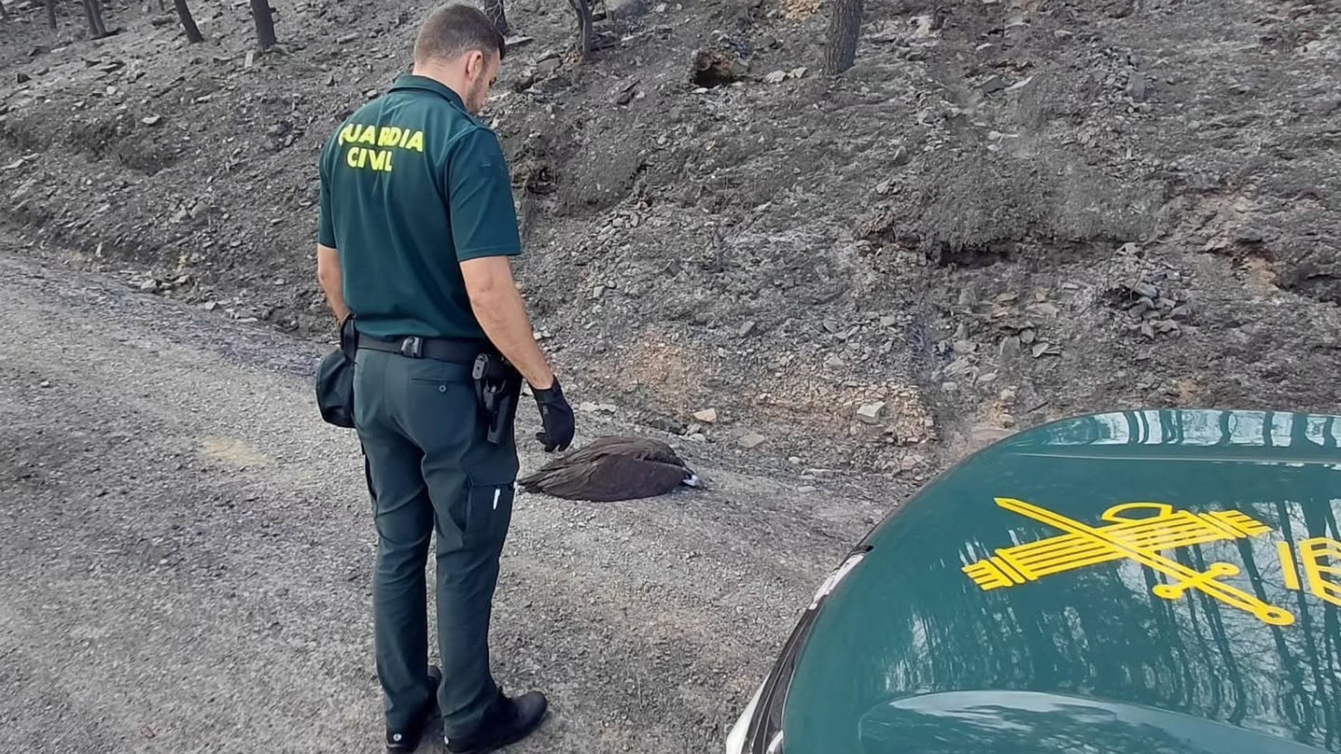 Guardia Civil en Cáceres Guardia Civil en Cáceres
