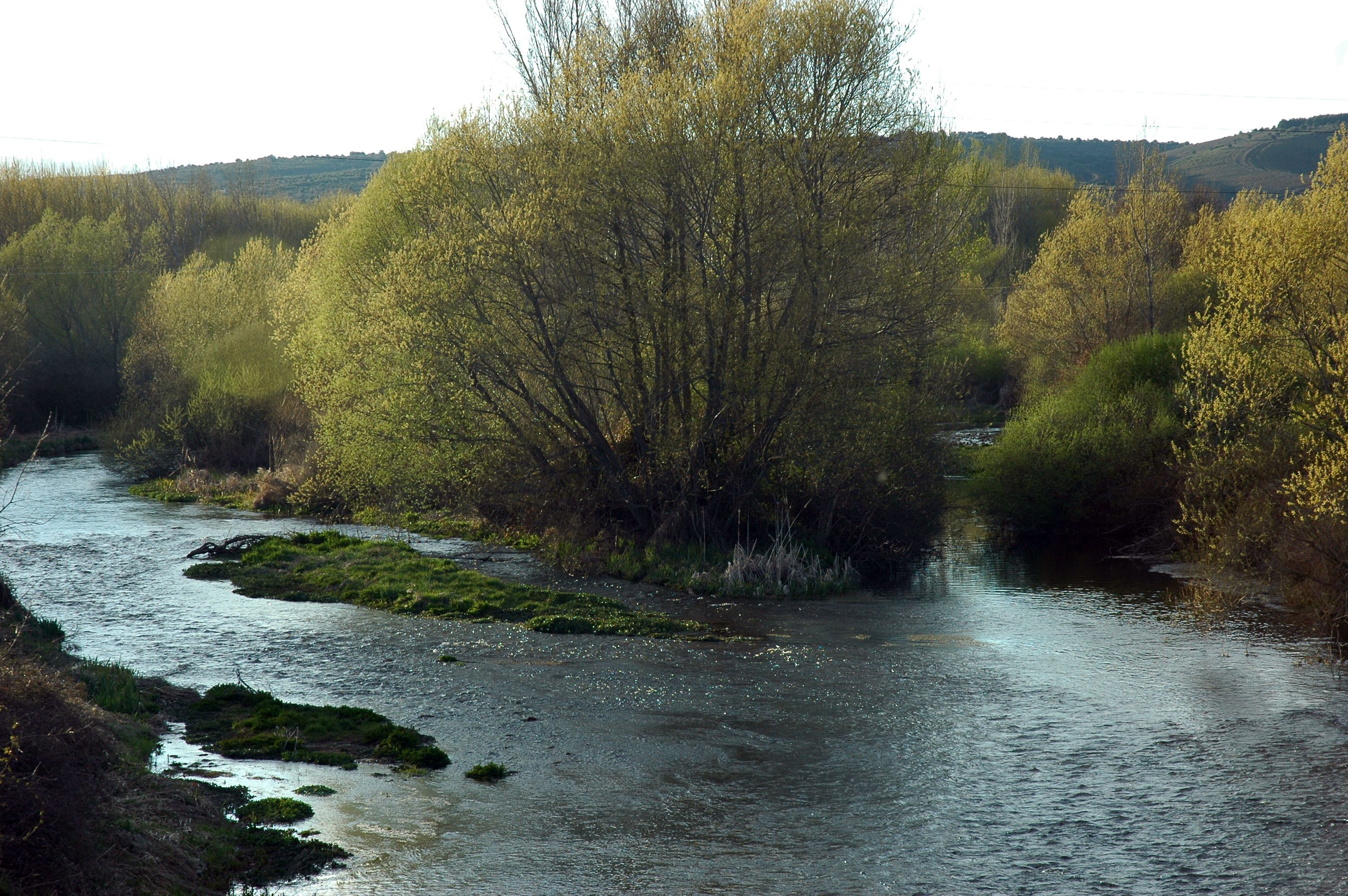 Nacimiento del río Órbigo