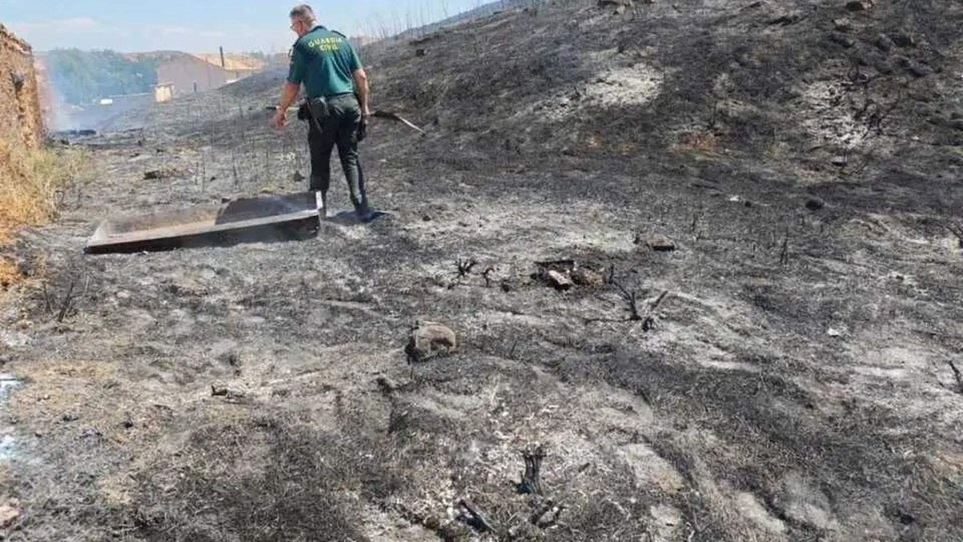 Detenido por originar un incendio forestal cuando usaba una radial en Monteagudo de las Vicarías, Soria Detenido por originar un incendio forestal cuando usaba una radial en Monteagudo de las Vicarías, Soria