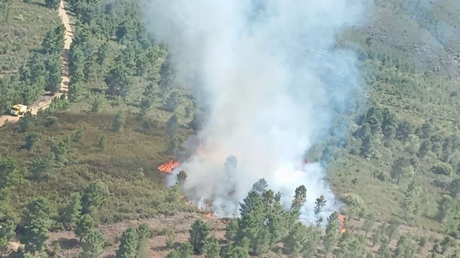 Detenido un joven de 27 años tras provocar presuntamente un incendio en Ledesma, Salamanca: encontraron gasolina y cinco mecheros Detenido un joven de 27 años tras provocar presuntamente un incendio en Ledesma, Salamanca: encontraron gasolina y cinco mecheros