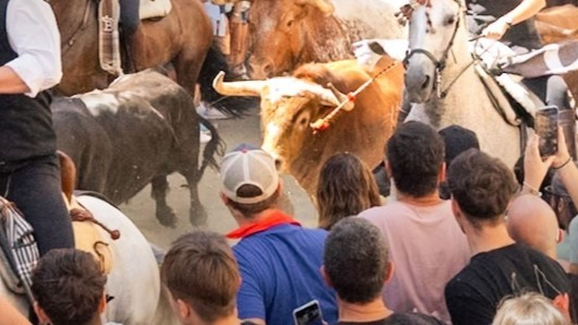 Imagen de un festejo taurino en la provincia de Castellón Imagen de un festejo taurino en la provincia de Castellón