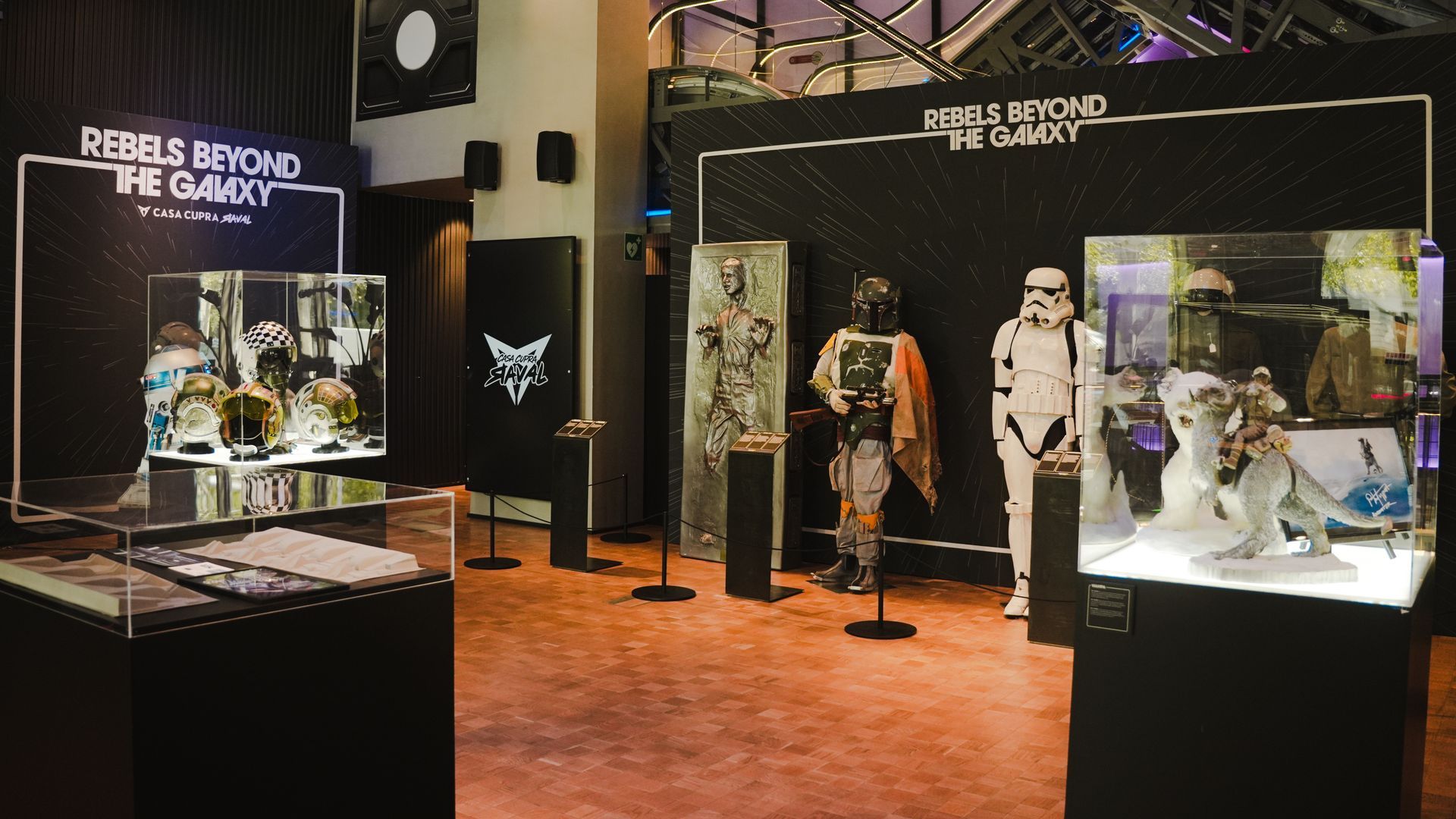 La exposición gratuita se puede visitar hasta el 22 de septiembre