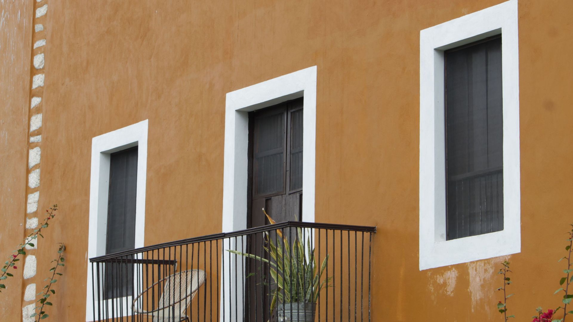 Una vivienda con mosquiteras