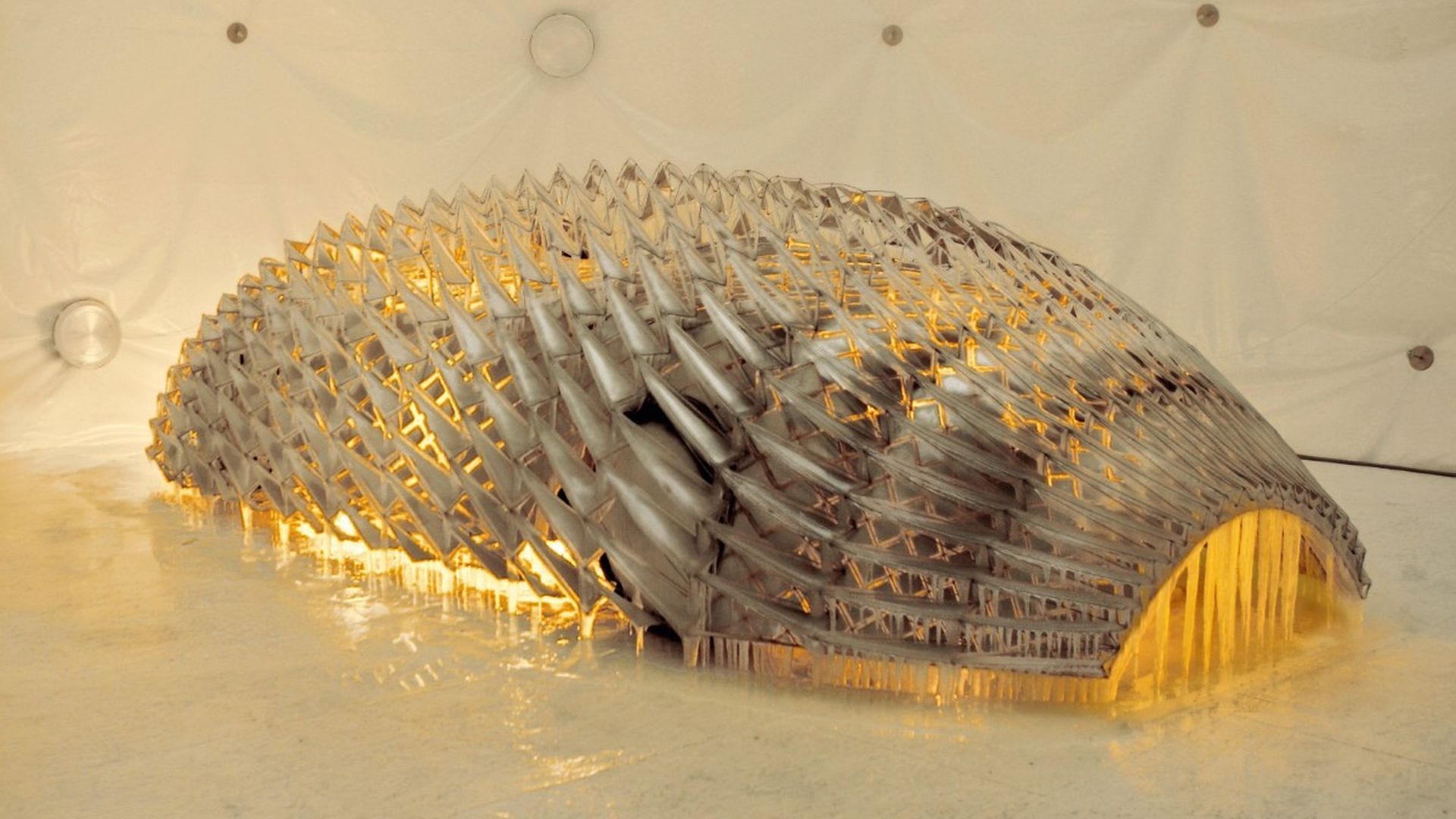 BMW Art Car by Olafur Eliasson