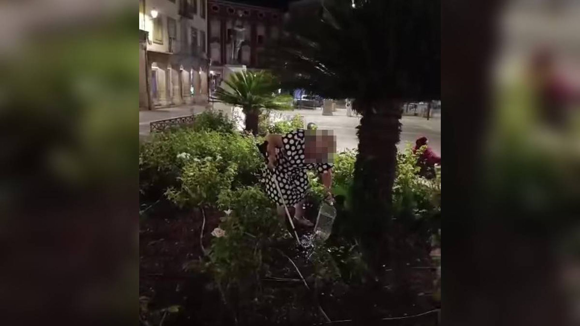 Indignación por el vídeo viral de una vecina de Úbeda quitando el agua a una colonia de gatos e insultando a quien la graba Indignación por el vídeo viral de una vecina de Úbeda quitando el agua a una colonia de gatos e insultando a quien la graba