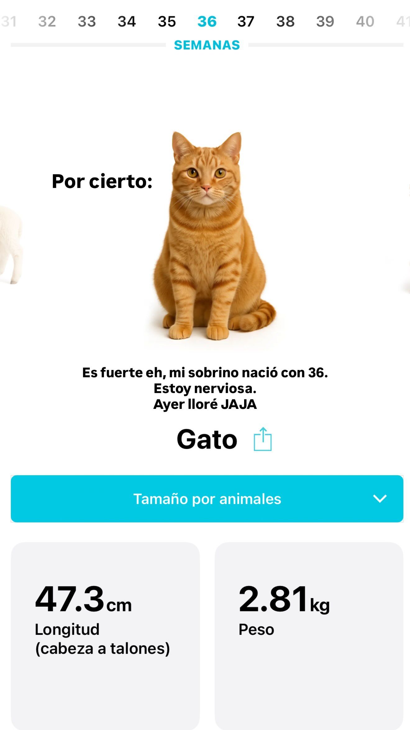 La aplicación que Claudia utiliza para ver el tamaño de su bebé
