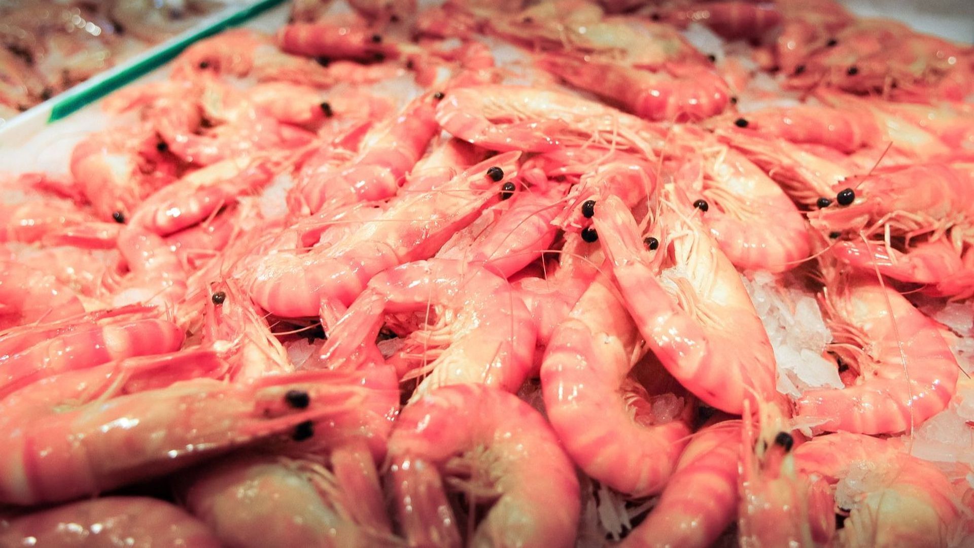 Langostinos o gambas Langostinos o gambas
