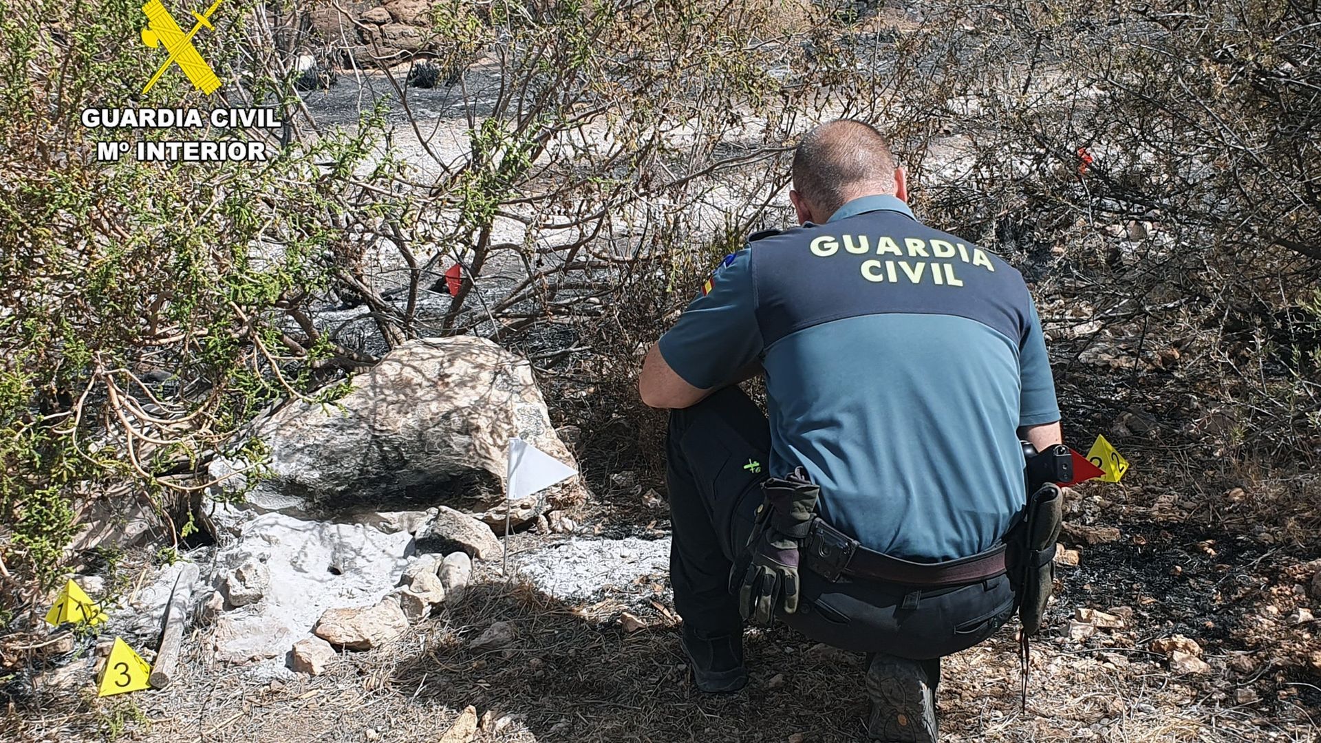 Una hoguera para cocinar, detrás del incendio en Mazarrón que arrasó ocho hectáreas protegidas Una hoguera para cocinar, detrás del incendio en Mazarrón que arrasó ocho hectáreas protegidas