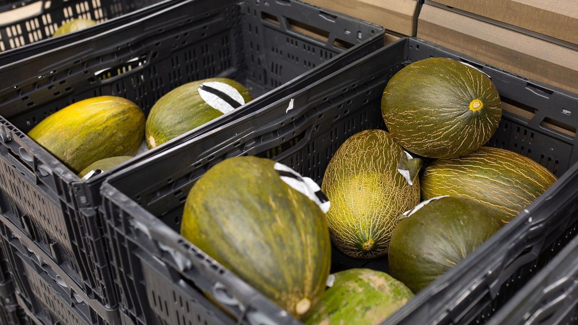 Melones