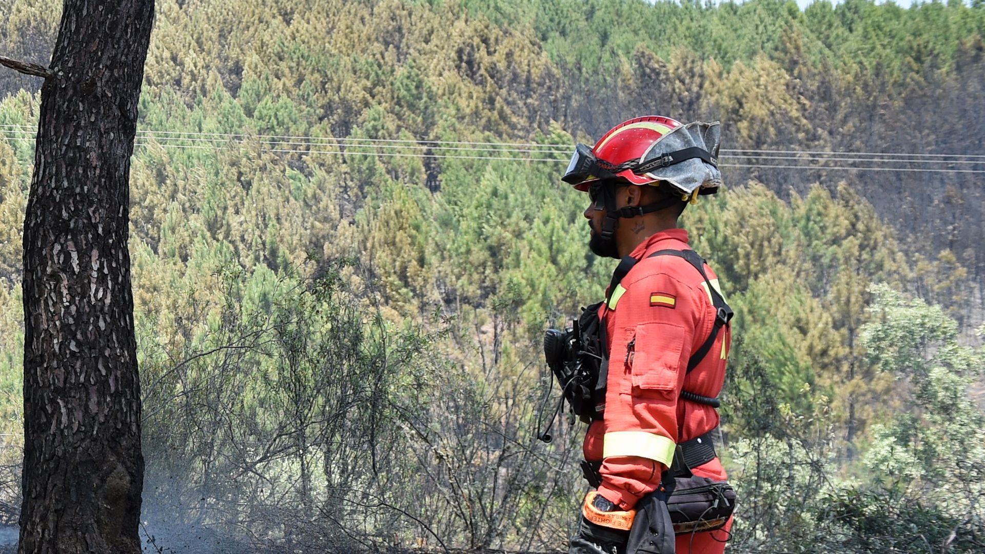 Trabajador de la UME en la Sierra de Gata, en Cáceres