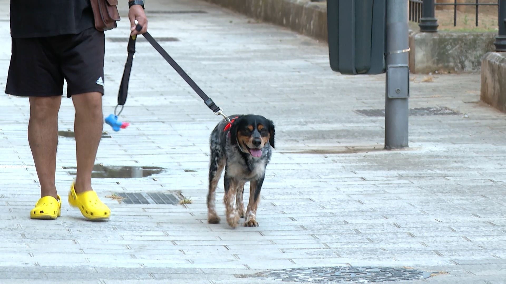 Vuelven a cerrar un parque de Sevilla tras detectar alimentos con agujas: es la tercera vez que el Ayuntamiento prohíbe el acceso al recinto Vuelven a cerrar un parque de Sevilla tras detectar alimentos con agujas: es la tercera vez que el Ayuntamiento prohíbe el acceso al recinto