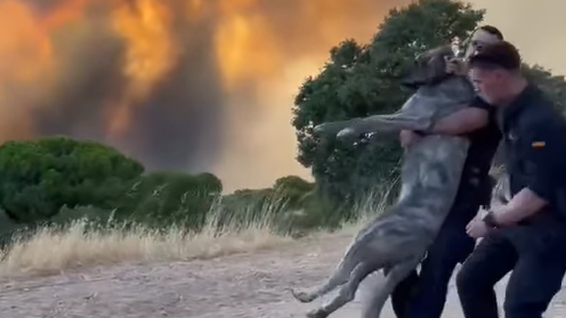 El agente que se hizo viral al rescatar a un perro de un incendio afirma que "se siente orgulloso" de haber ayudado: "Te toca un poco el corazón"