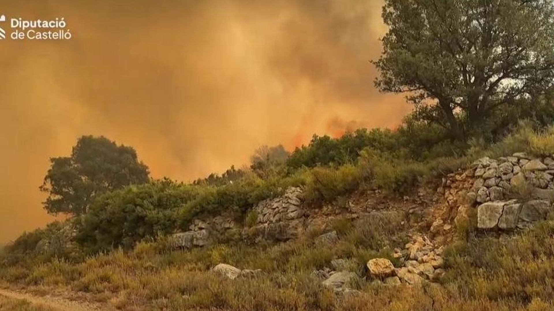 El fuego se ceba con Castellón: el fuego en Tírig obliga a confinar Catí y envían un ES-Alert a los vecinos afectados El fuego se ceba con Castellón: el fuego en Tírig obliga a confinar Catí y envían un ES-Alert a los vecinos afectados