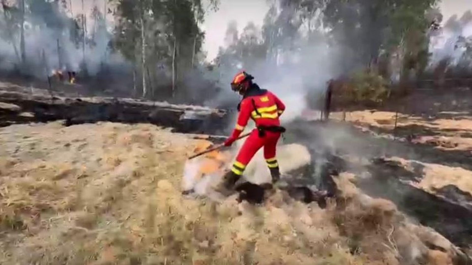 Evolución del incendio de Niebla, en Huelva: comunican el desalojo preventivo de 340 personas y Juanma Moreno pide extremar la precaución Evolución del incendio de Niebla, en Huelva: comunican el desalojo preventivo de 340 personas y Juanma Moreno pide extremar la precaución