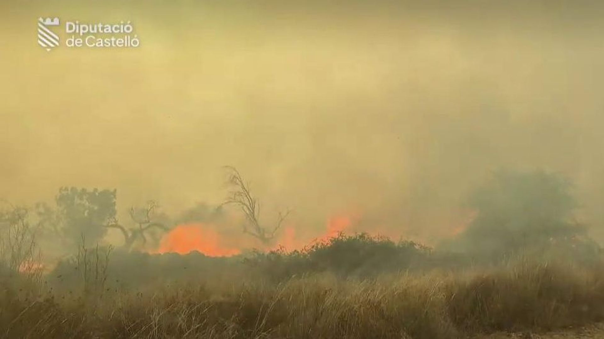 La Generalitat envía un ES-Alert para ordenar la evacuación de Catí por el incendio de Tírig, en Castellón