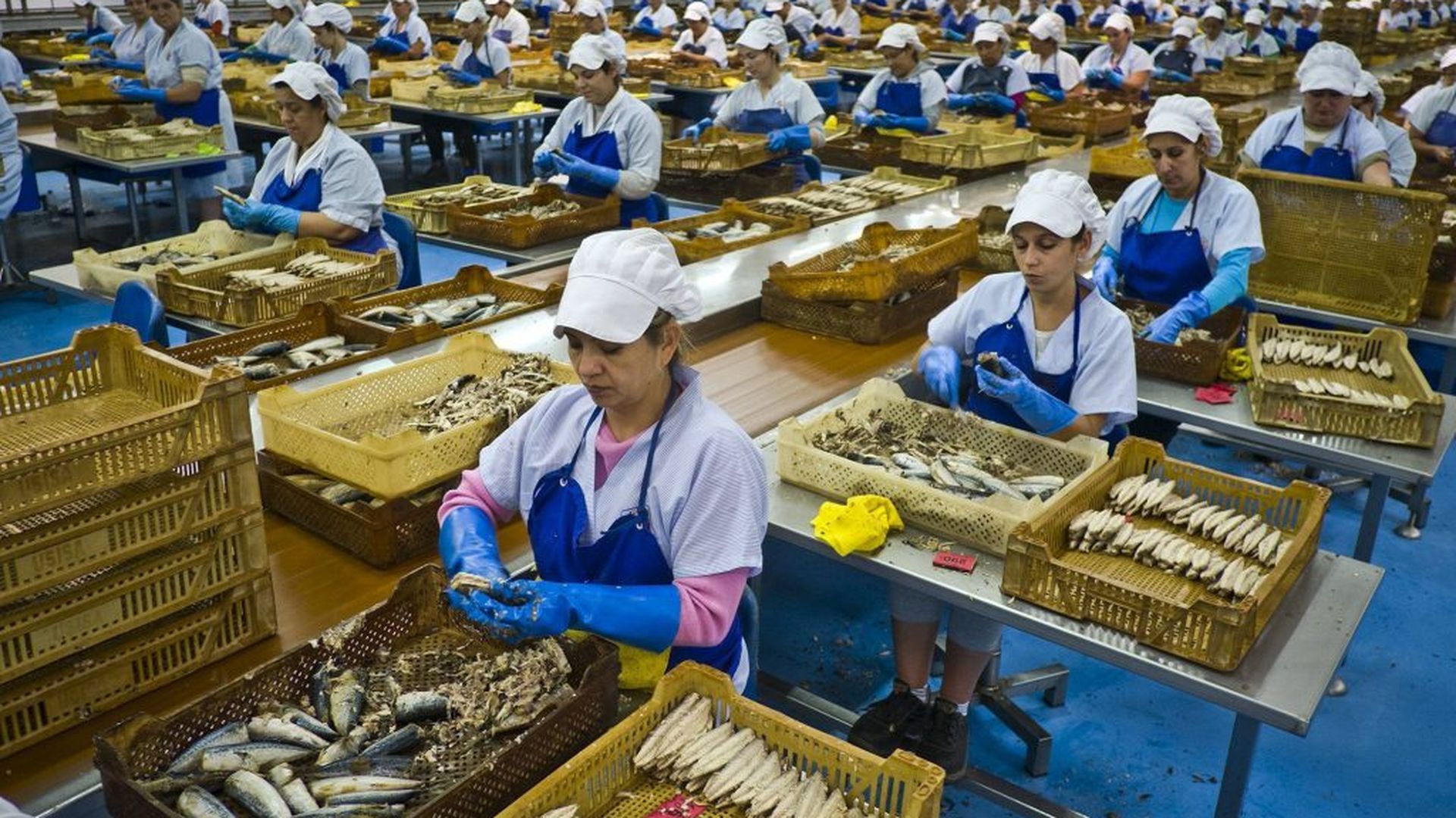 Fábrica de sardinas