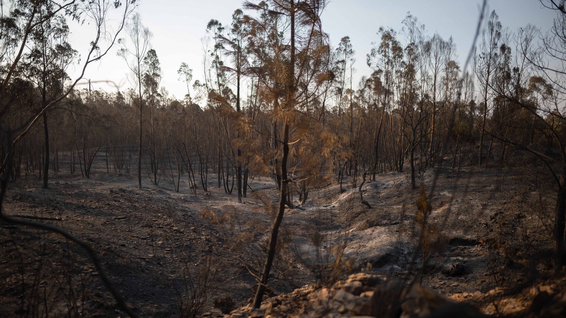 Incendio de Niebla, en Huelva Incendio de Niebla, en Huelva