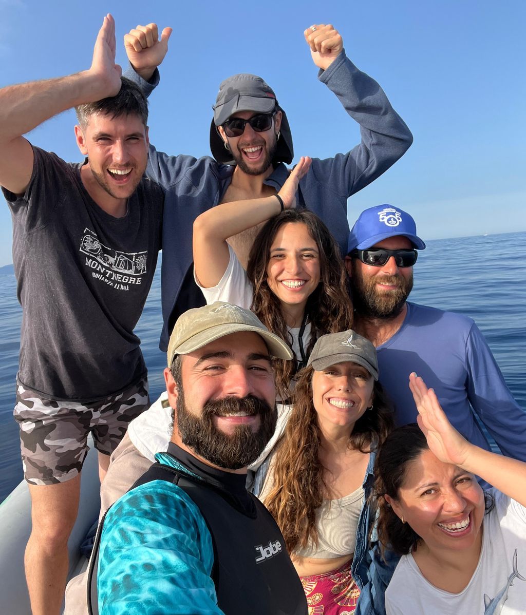 El equipo, tras la inédita grabación del intento de cópula entre dos tiburones azules