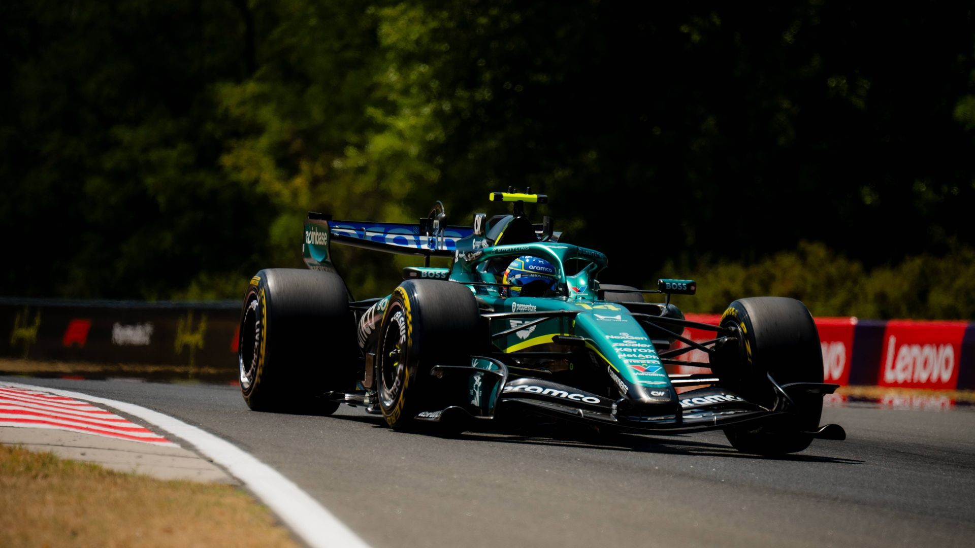 Fernando Alonso durante el Gran Premio de Hungría