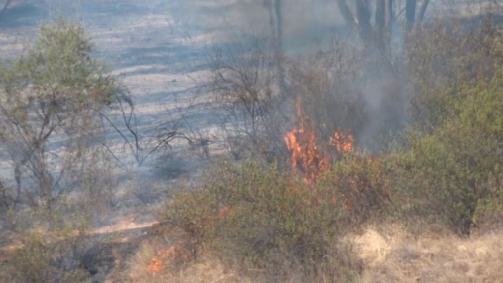 El fuego en Huelva sigue fuera de control y supera las 25.000 hectáreas: se espera que el cambio de viento ayude en la extinción