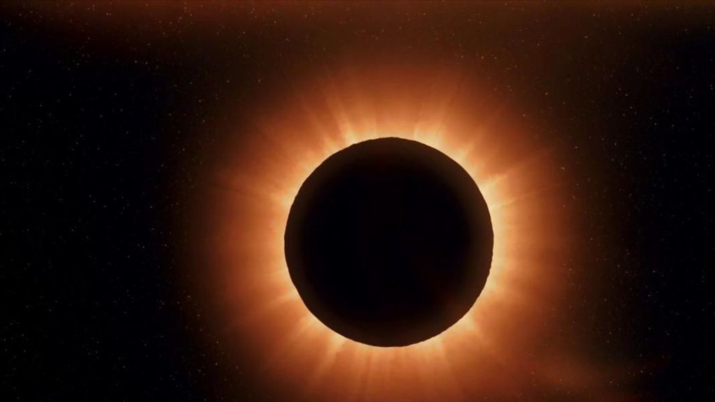 El impacto del eclipse de sol en las mascotas