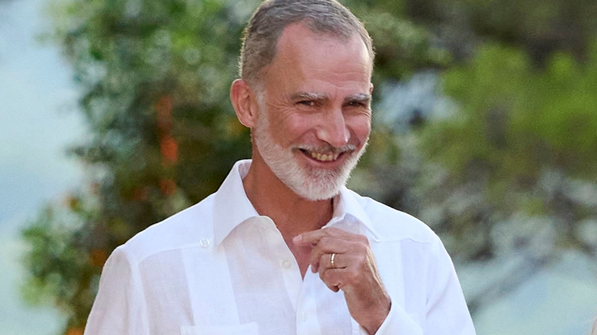 El rey Felipe VI El rey Felipe VI