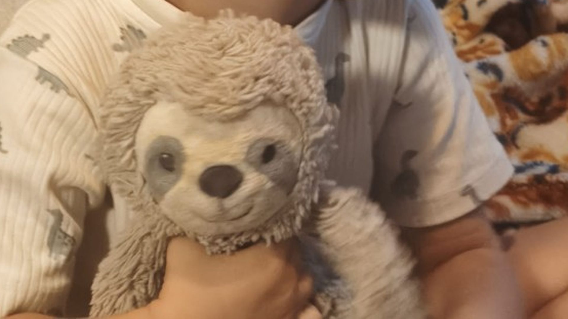 Niño Niño