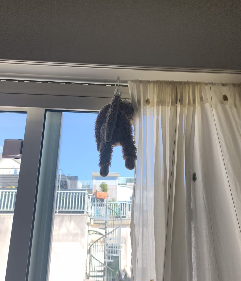 Pérez secando al sol tras uno de sus habituales lavados