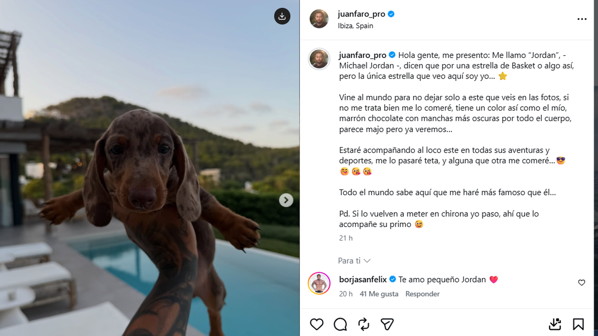 Jordan, la nueva mascota de Juan Faro
