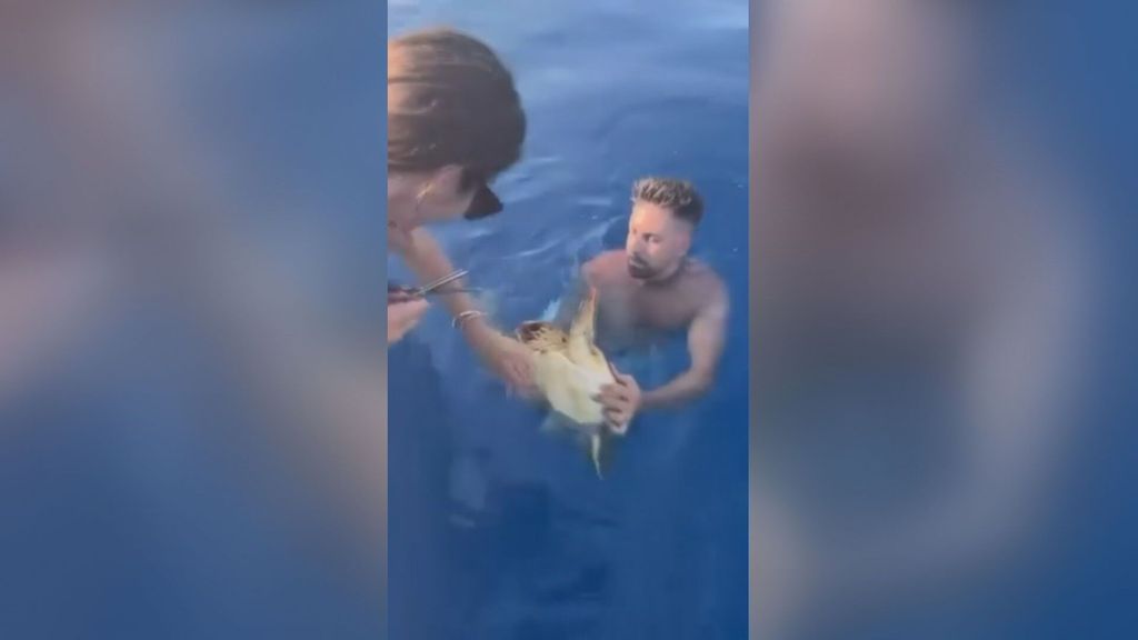 Así libera un joven a una tortuga boba enredada en residuos plásticos en Mojácar, Almería