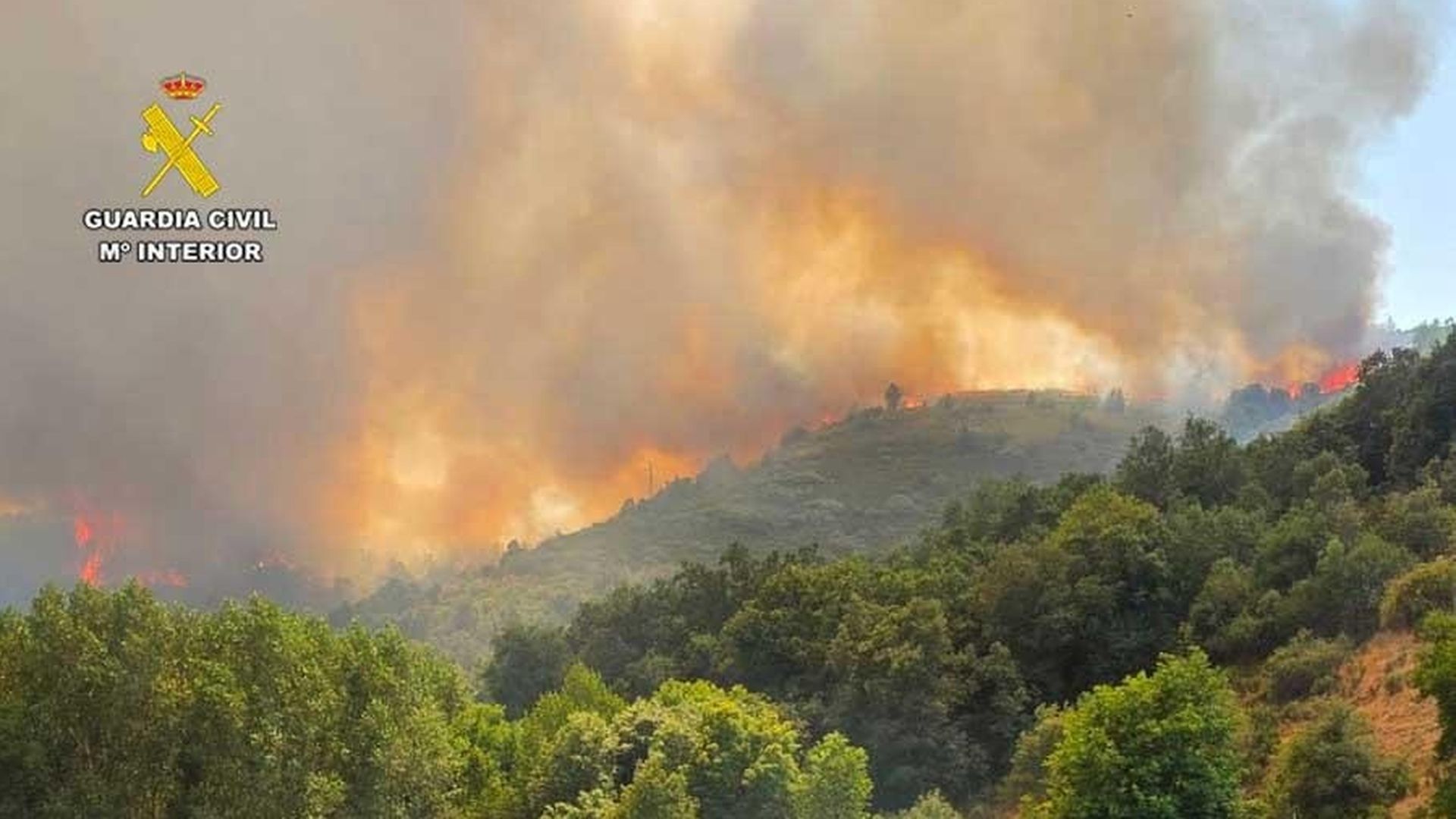 Detenido un hombre de 58 años como responsable del incendio en La Utrera, León, que quemó 150 hectáreas y forzó a evacuar Detenido un hombre de 58 años como responsable del incendio en La Utrera, León, que quemó 150 hectáreas y forzó a evacuar