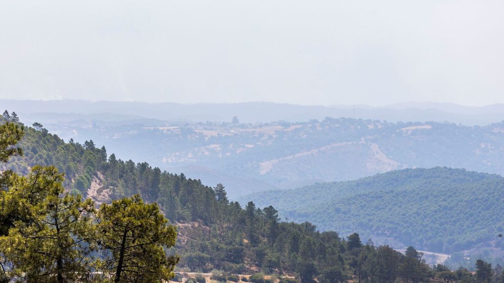 El eucalipto, factor clave en el incendio de Niebla: con 42.000 hectáreas es ya el peor de la historia de Andalucía