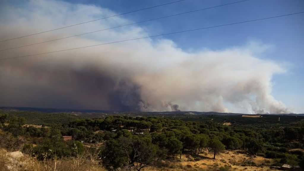 El incendio forestal se extiende por el sureste a causa de los pirocúmulos