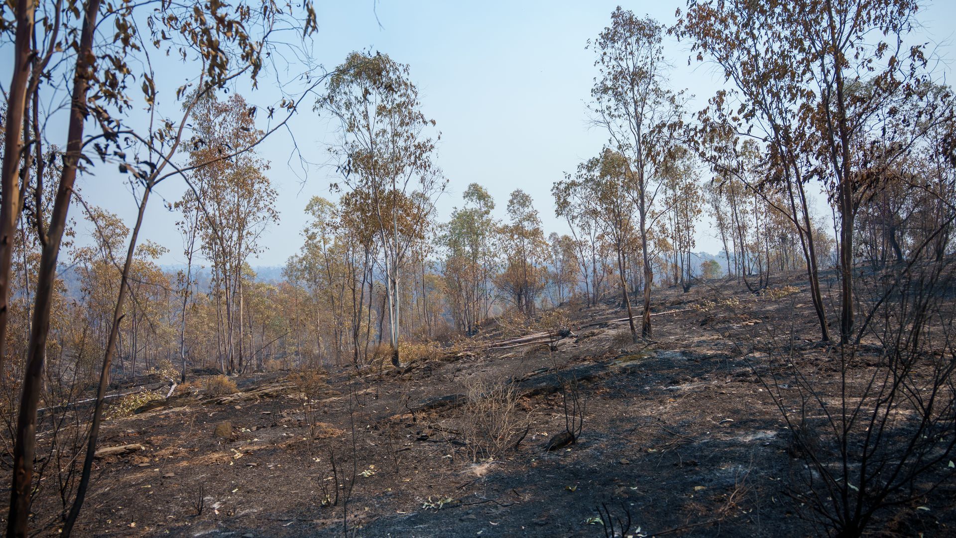 Desciende a nivel 0 la emergencia por el incendio de Niebla, Huelva Desciende a nivel 0 la emergencia por el incendio de Niebla, Huelva