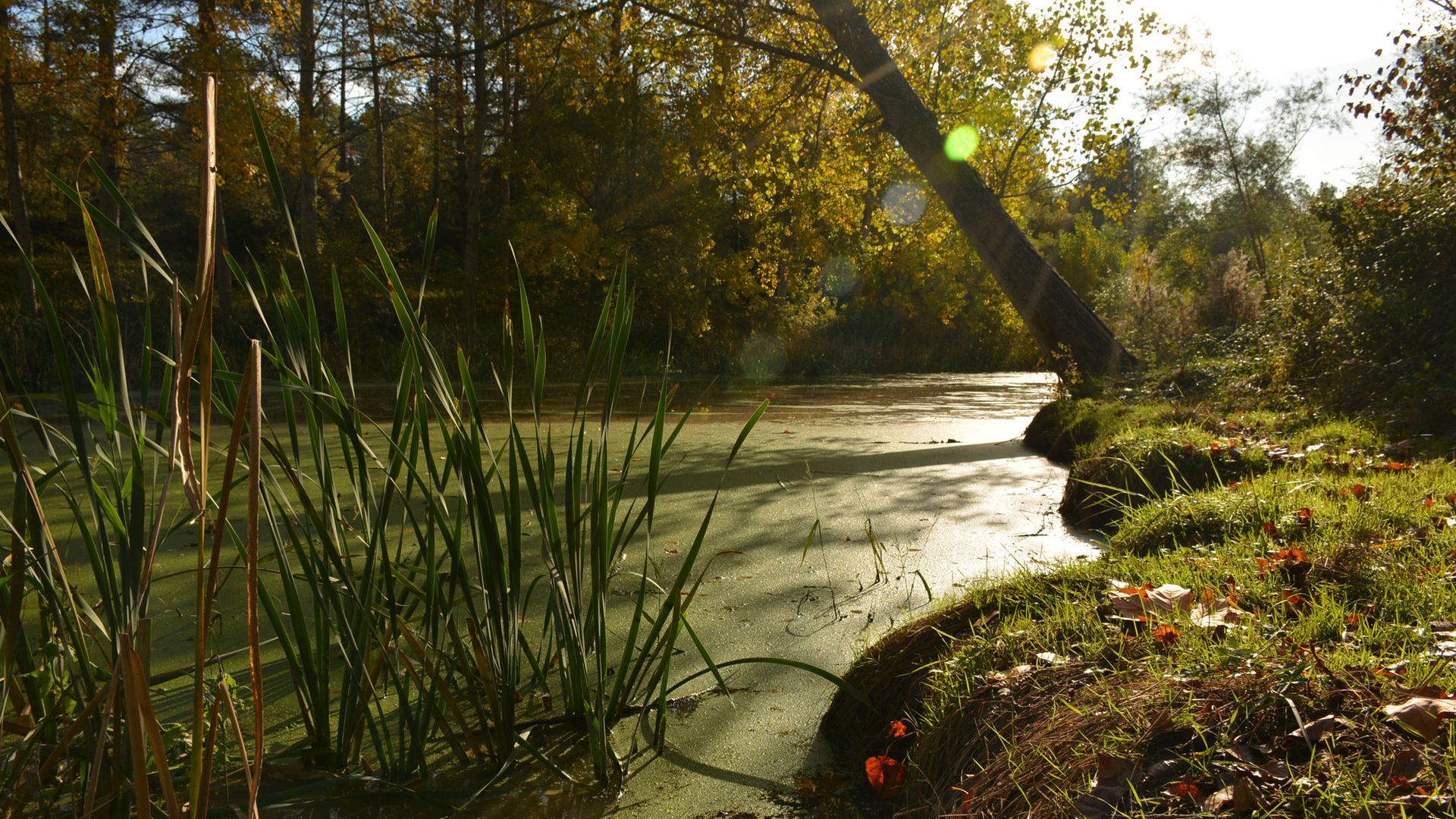 Pantano de la Gavarresa Pantano de la Gavarresa