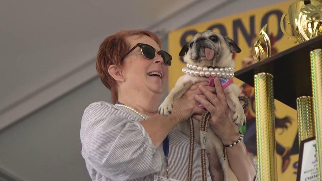 World’s Ugliest Dog Contest 2026