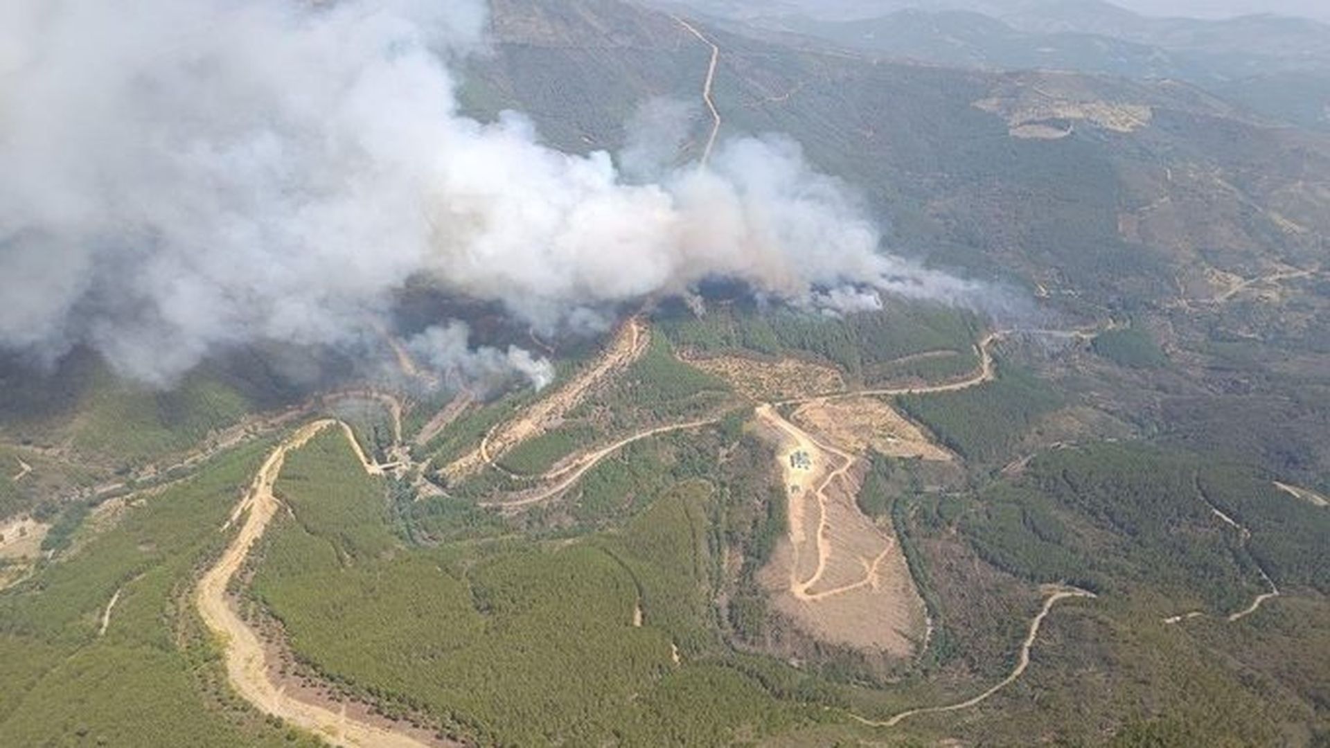 Activado el nivel 2 de peligrosidad en el incendio forestal en Pinofranqueado, Cáceres Activado el nivel 2 de peligrosidad en el incendio forestal en Pinofranqueado, Cáceres