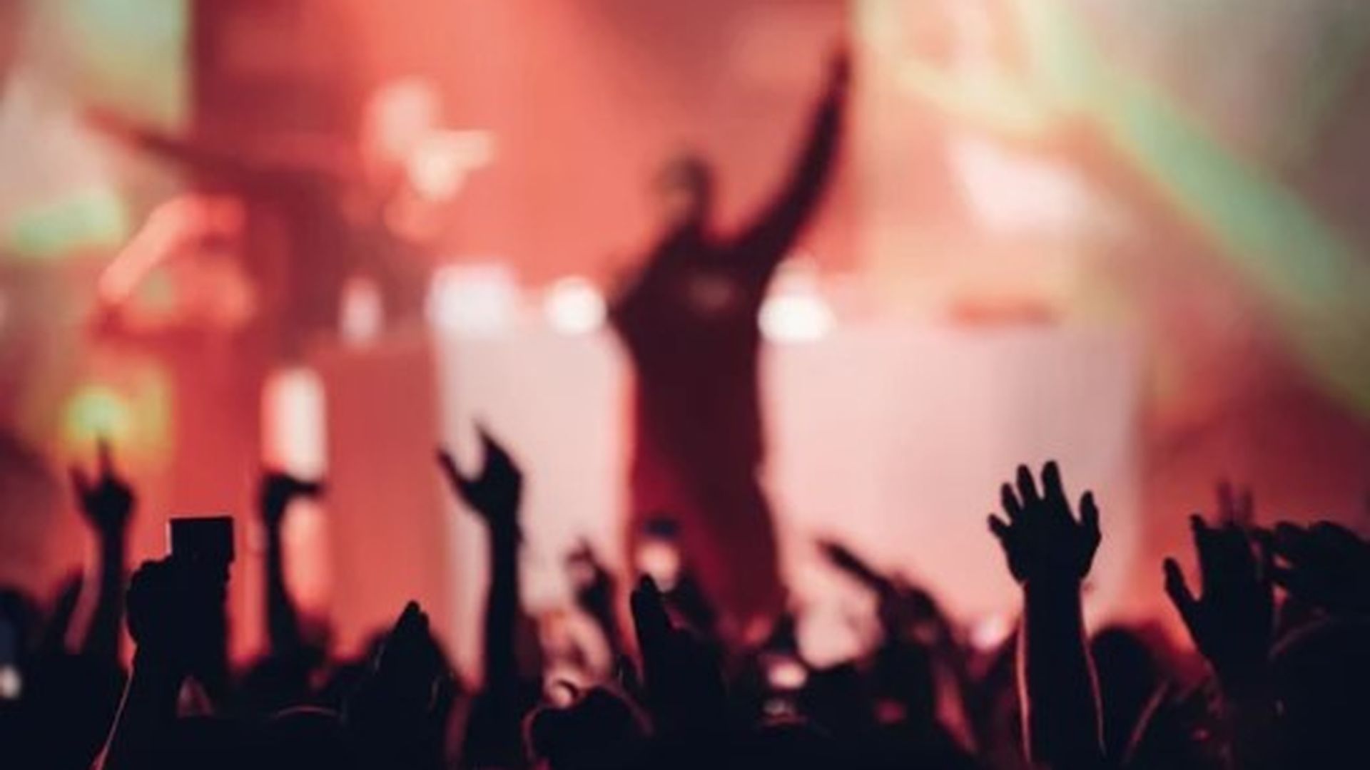 Cantante en un concierto Cantante en un concierto