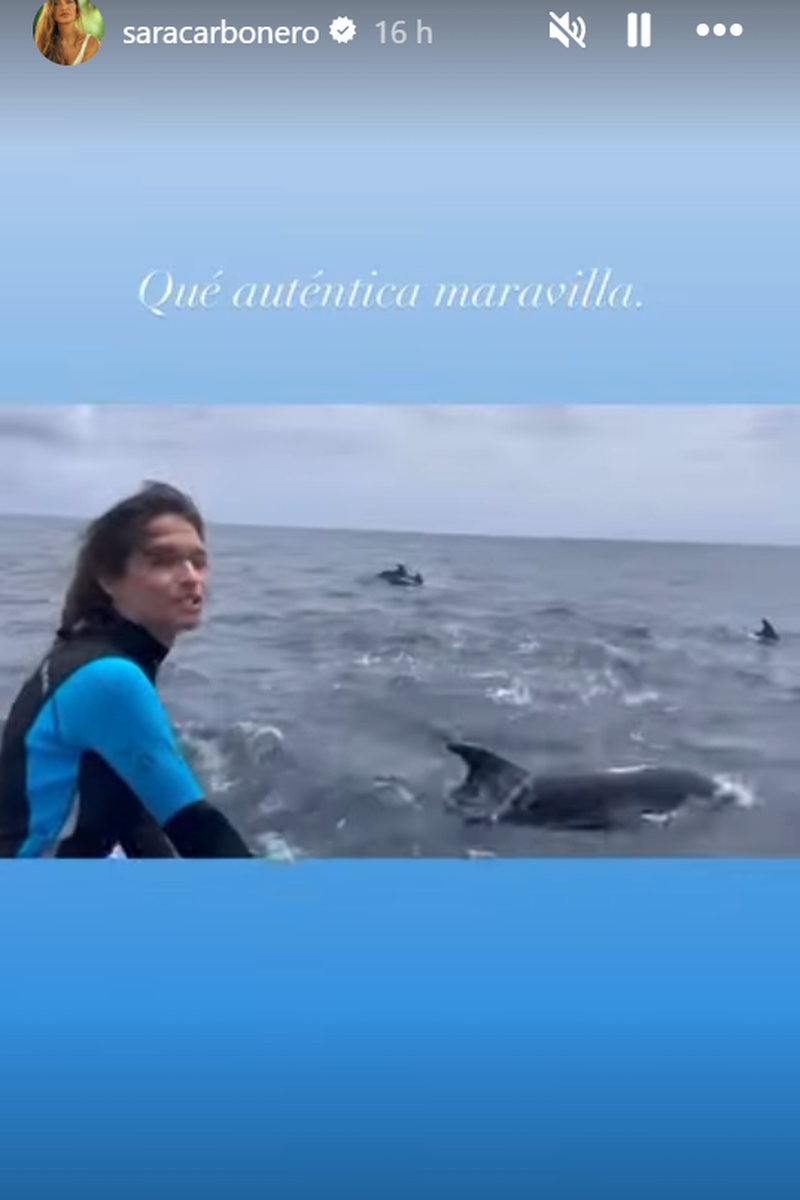 Sara Carbonero con delfines