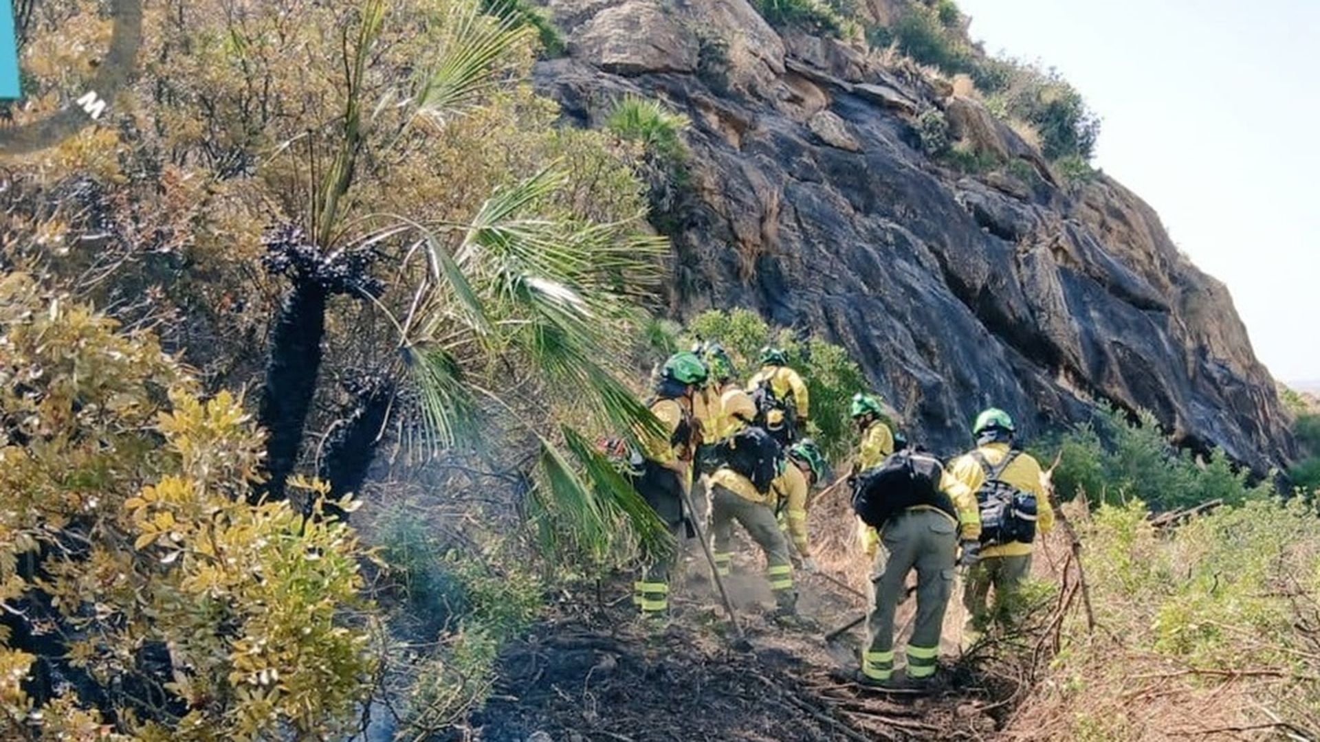Efectivos del Infoca en el incendio de Los Gallardos Efectivos del Infoca en el incendio de Los Gallardos